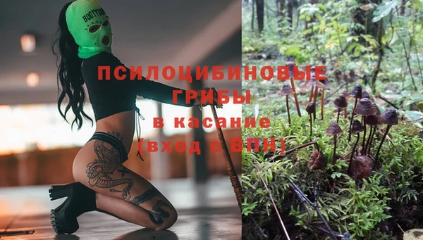 альфа пвп Коряжма