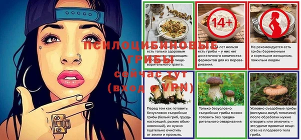 mix Корсаков